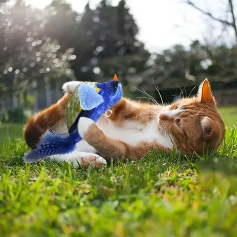 Jouet pour chat : peluche oiseau avec plume d'herbe à chat.